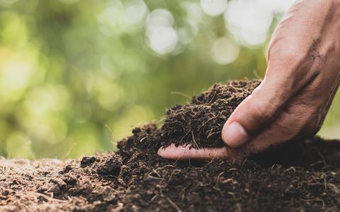 Mano de una persona tocando compost en zona rural.