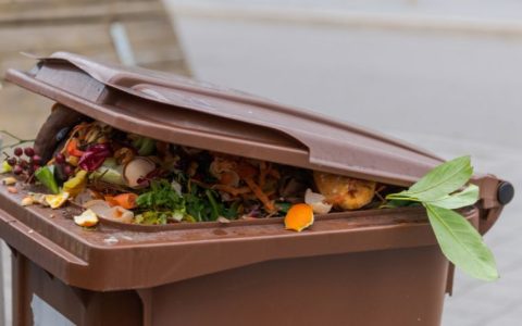 La economía circular y la gestión de residuos orgánicos: conceptos y situación