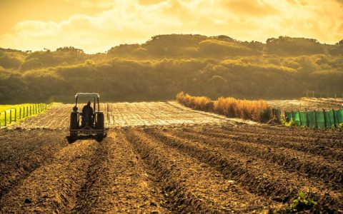 Sostenibilidad agrícola: fertilizantes orgánicos a partir de los digestatos