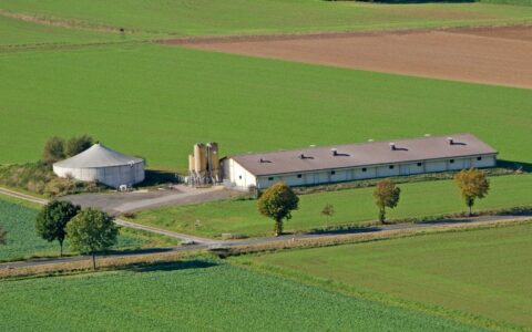 Los gases renovables, una oportunidad para el desarrollo rural